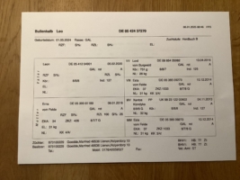 Miniaturansicht für das Anzeigenbild
