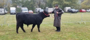 Miniaturansicht für das Anzeigenbild