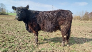 Miniaturansicht für das Anzeigenbild