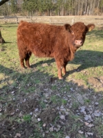 Miniaturansicht für das Anzeigenbild