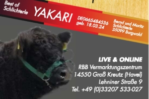 Miniaturansicht für das Anzeigenbild