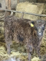 Miniaturansicht für das Anzeigenbild