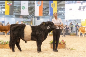 Miniaturansicht für das Anzeigenbild