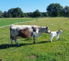 Miniaturansicht für das Anzeigenbild
